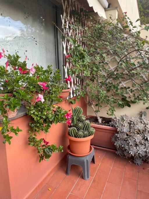 La Casa Di Teri A Chiavari Exterior photo